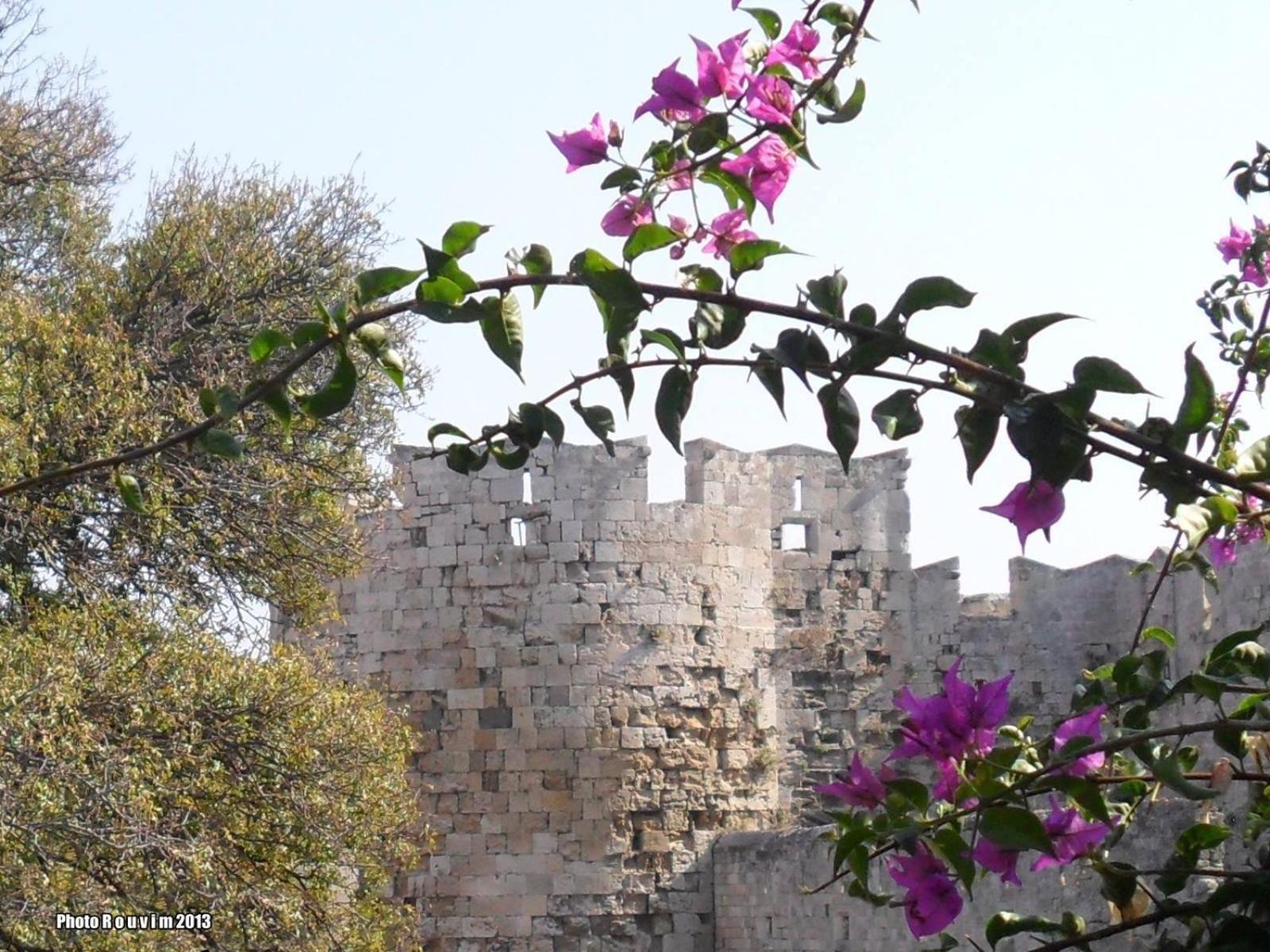 House With Garden In City Of Rhodes Rhodes City Extérieur photo